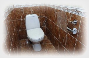 Отделочные работы в Воронеже. Ремонт санузла туалета под ключ